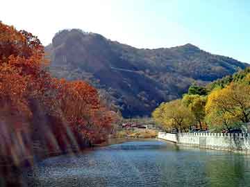 新澳天天开奖资料大全旅游团，黑猫牌高压清洗机